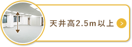 V䍂2.5mȏ